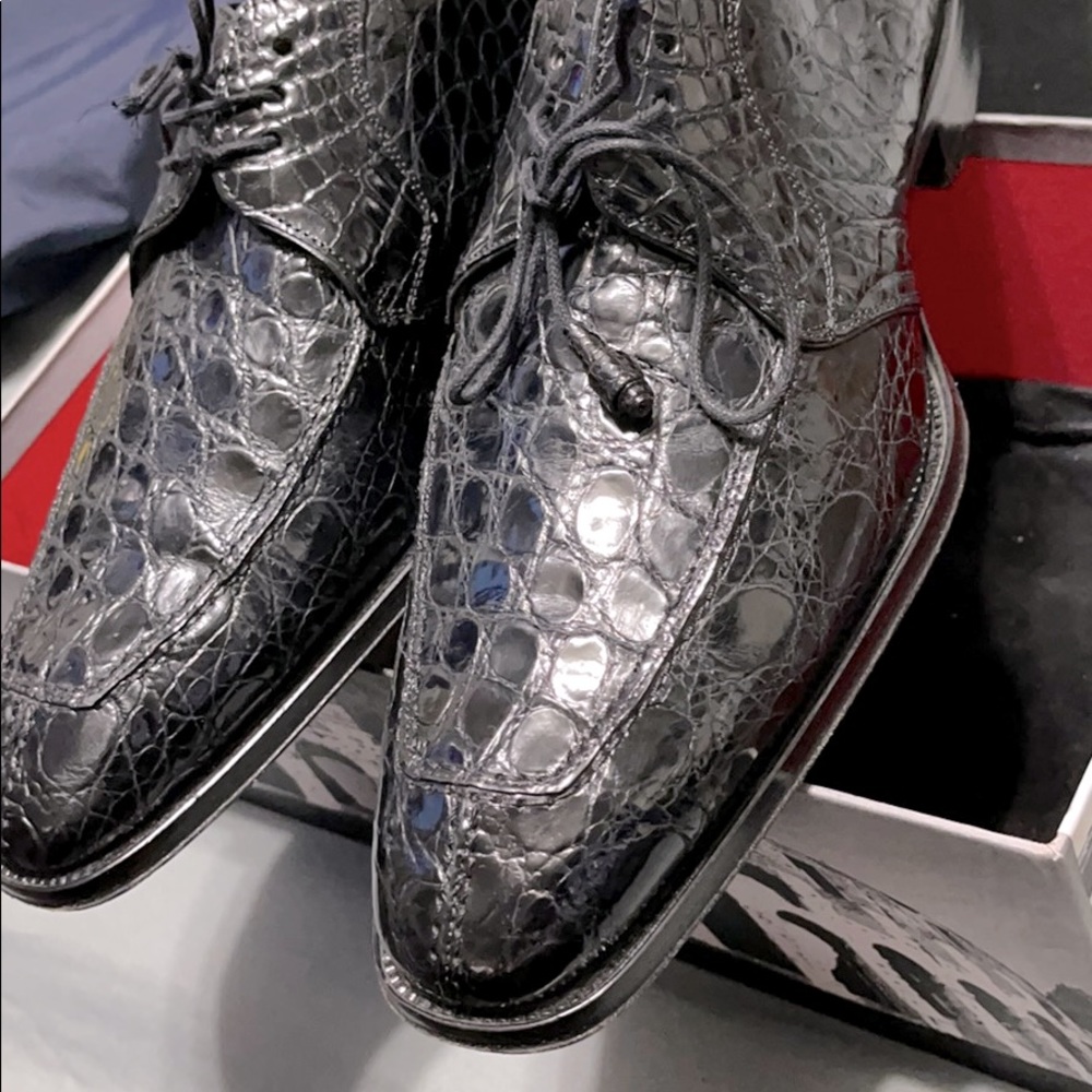 Black crocodile 🐊  Oxford